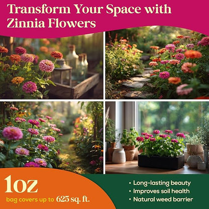 Zinnia Seeds Pack 1 oz - 3,800 Non-GMO Heirloom Zinnia Seeds for Planting, Perennial Flowers in Waterproof Seed Packet, Wildflower Seeds for Planting Garden Indoor & Outdoor Gardening