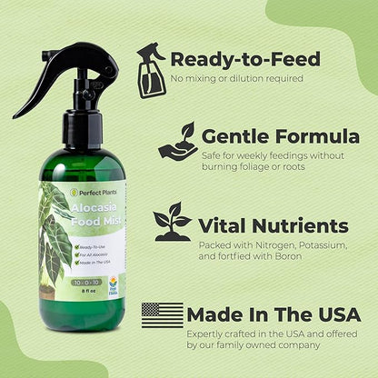 Alocasia Food Mist by Perfect Plants | Spray Plant Fertilizer Liquid for Indoor Houseplants | Nutrient Rich Foliage Booster (8 fl oz)