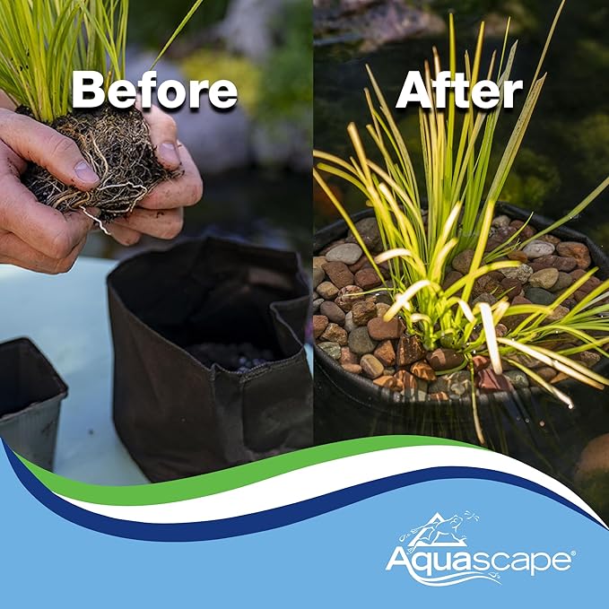 Aquascape Aquatic Plant Pots for Pond and Water Garden, 8-inch x 6-inch, Black, 2-Pack | 98502