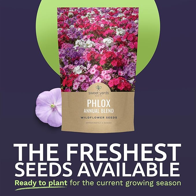 Phlox Annual Blend – Large 2 Ounces Seed Packet – 28,000 Flower Seeds for Planting – Phlox drummondii