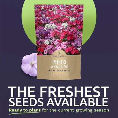 Phlox Annual Blend – Large 2 Ounces Seed Packet – 28,000 Flower Seeds for Planting – Phlox drummondii