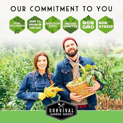 Lettuce Seeds for Planting | 10 Heirloom Lettuces – Buttercrunch, Romaine, Iceberg, Oakleaf, Simpson, Salad Bowl, Lolla Rossa & More | Survival Garden Seeds