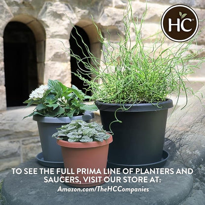 The HC Companies 12 Inch Round Prima Planter - Plastic Plant Pot with Rolled Rim for Indoor Outdoor Plants Flowers Herbs, Black