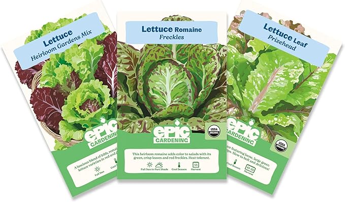 Epic Gardening Lettuce Seed Bundle - 3 Heirloom & Non-GMO Varieties, Includes Freckles Romaine, Heirloom Mix & Prizehead Leaf, Perfect for Fresh Salads, Wraps & Garden-to-Table Meals