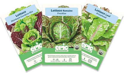Epic Gardening Lettuce Seed Bundle - 3 Heirloom & Non-GMO Varieties, Includes Freckles Romaine, Heirloom Mix & Prizehead Leaf, Perfect for Fresh Salads, Wraps & Garden-to-Table Meals