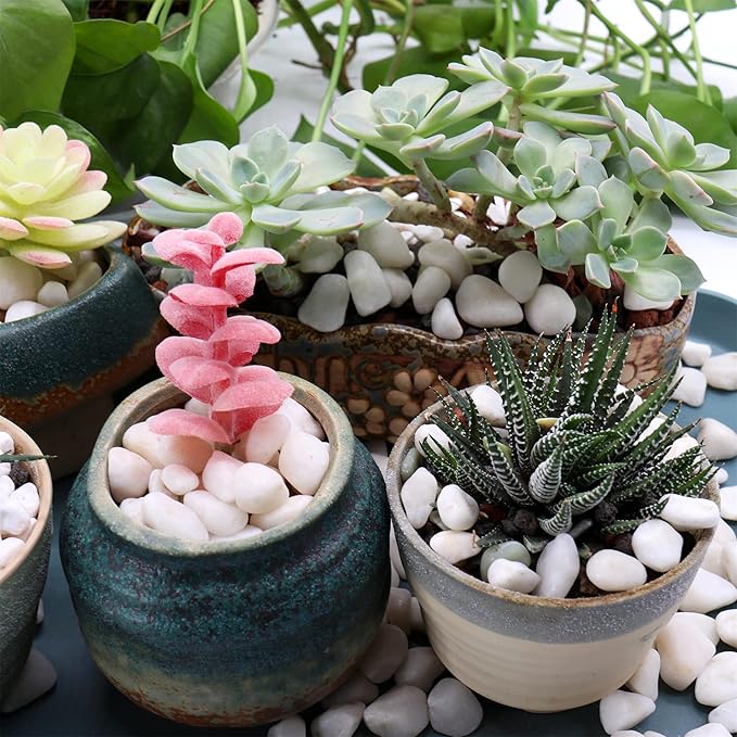 White Rocks - 3/8 Inch. Decorative Polished Pebbles for Garden, Succulents, Vase Fillers (XSM 0.375 Inch - 5 lbs) perfection