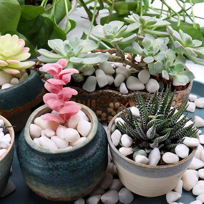 White Rocks - 3/8 Inch. Decorative Polished Pebbles for Garden, Succulents, Vase Fillers (XSM 0.375 Inch - 5 lbs) perfection