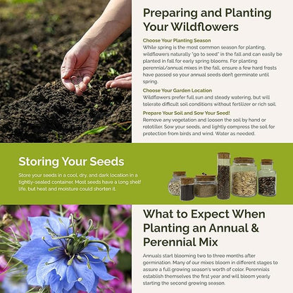 Eden Brothers Blue Ribbon Flower Mixed Seeds for Planting, 1/4 lb, 120,000+ Seeds with Blue Bell, Cornflower Blue, Chicory, Attracts Pollinators, Plant in Spring or Fall, Zones 3, 4, 5, 6, 7, 8, 9, 10