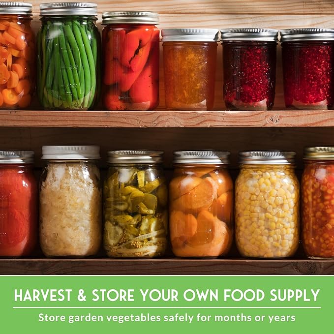 Homesteader Seed Vault - 50 Packs of Non-GMO Heirloom Vegetable, Fruit, Herb Seeds for Planting a Victory Garden - Grow Survival Food for Storage, Emergency Preparedness - Survival Garden Seeds