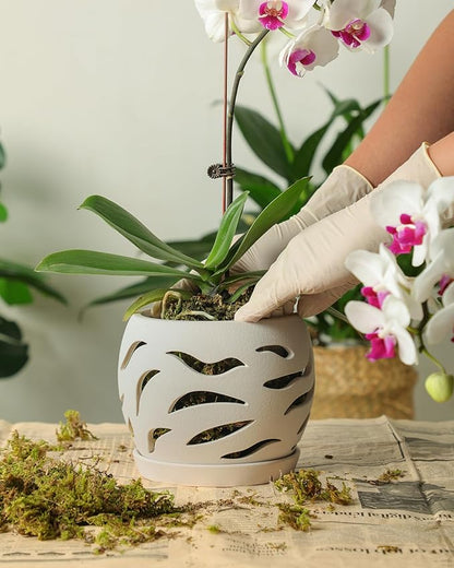 Ceramic Orchid Pot with Holes & Saucers, 5.5 inch Plant pots for Indoor and Outdoor use, Wind-Worn Texture Cutout Promoting air Circulation and Drainage(Pots Only)