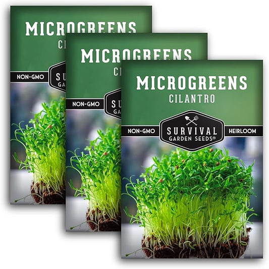 Cilantro Microgreen Seeds for Planting – Non-GMO Heirloom Cilantro Seeds to Grow Fresh, Flavorful Microgreens – Indoors or Hydroponic – Fast Germination– Survival Garden Seeds (3 Packs)