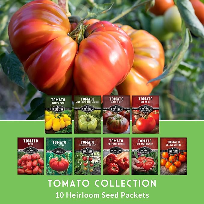Tomato Seeds 10 Variety Pack for Planting - Roma, Cherry, Aunt Ruby's Green, Orange Cherry, Mortgage Lifter, Brandywine, & More - Non-GMO Heirloom Tomatoes - Survival Garden Seeds