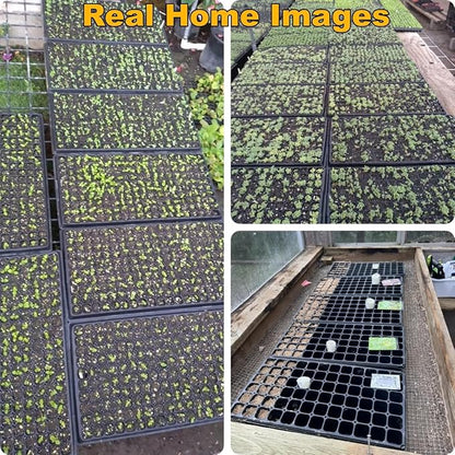 50-Pack 72 Cell Seedling Trays, Heavy-Duty Deep Plug Trays for 1020 Flats, Reusable Seed Starter Trays for Germination & Seed Starting (21.25"×11", 2.36" Height)