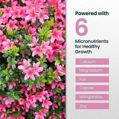 16oz Azalea Fertilizer Outdoor - Makes 16 Gallons of Azalea Plant Food, Liquid Fertilizer for Acid Loving Plants - Flower Food for Vibrant Blooms, Greener Leaves, Healthy Growth & Resilient Roots