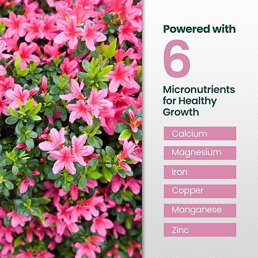 32oz Azalea Fertilizer Outdoor - Makes 32 Gallons of Azalea Plant Food, Liquid Fertilizer for Acid Loving Plants - Flower Food for Vibrant Blooms, Greener Leaves, Healthy Growth & Resilient Roots