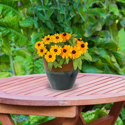 Sunnydaze Round Ceramic Planter - Set of 2 Indoor or Outdoor Plant Pots with Drainage Hole - Chalet - 12" - Forest Lake Green Glaze