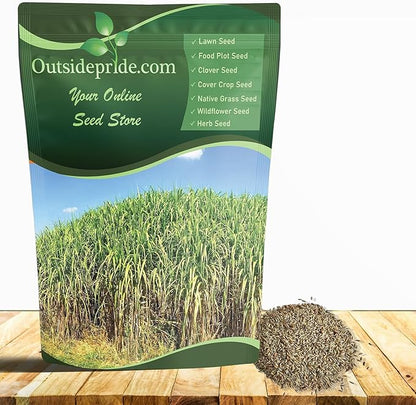 Outsidepride Switchgrass Seed - 25 lbs. Perennial Hardy, Drought & Flood Tolerant Native Grass Seed Ideal Fast-Growing Grasses for Erosion Control, Wildlife Forage & Food Plots, Thrives in Poor Soil
