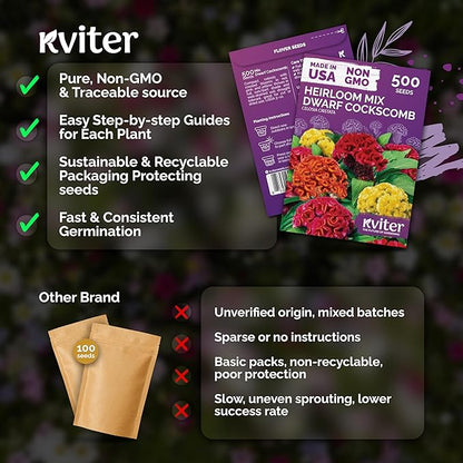 KVITER 500 Dwarf Mix Cockscomb Seeds for Planting (Celosia argentea) – Woolflower Rooster Comb Celosia Seeds for Planting Flowers – Heirloom Flowers Plant Seed Mix Garden Container Flower Beds Outdoor