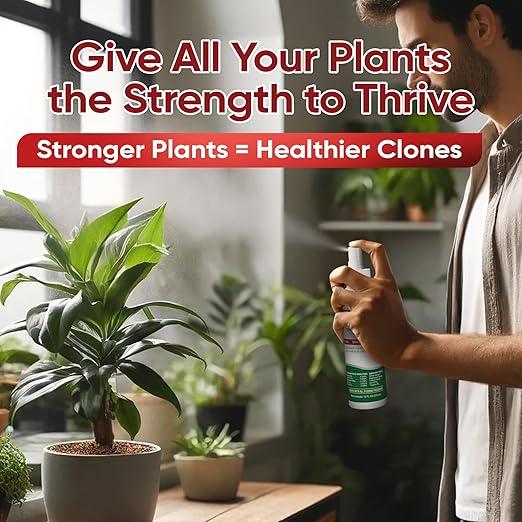 Hormex Mother Mist Cal-Mag-Iron + B1 Plant Nutrient Deficiency Spray - Boost Growth, Strength & Cloning Success - All Purpose Foliar Spray for Houseplants, Flowers & Vegetables, 12oz
