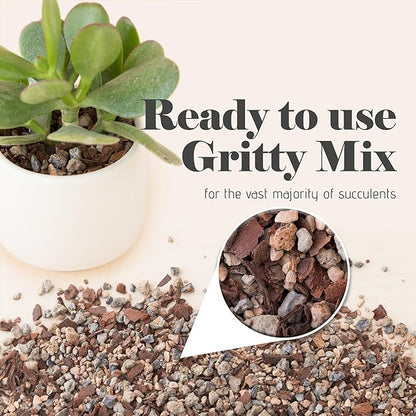 Bonsai Jack Succulent, Cactus and Bonsai Soil - Jacks Gritty Mix - 6 Gallons – Fast Draining – Fight Root Rot – Optimized pH