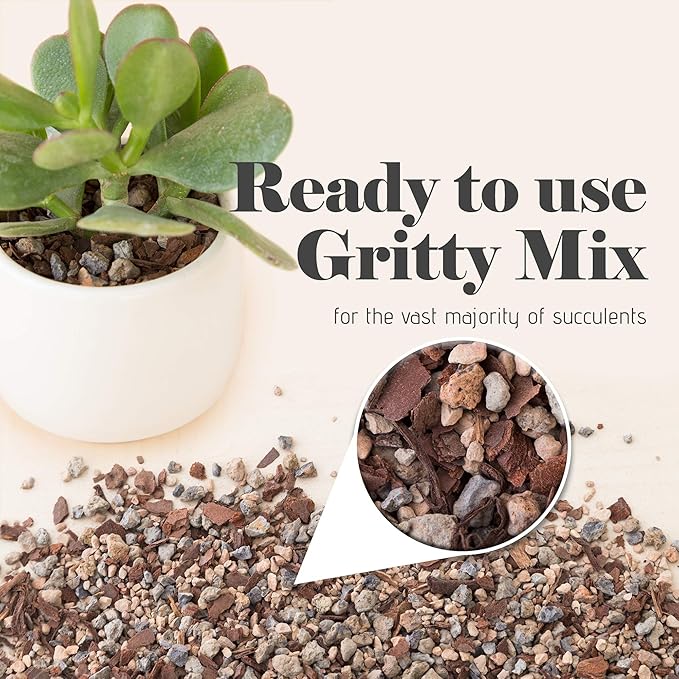 Bonsai Jack Succulent, Cactus and Bonsai Soil - Jacks Gritty Mix - 3 Gallons – Fast Draining – Fight Root Rot – Optimized pH