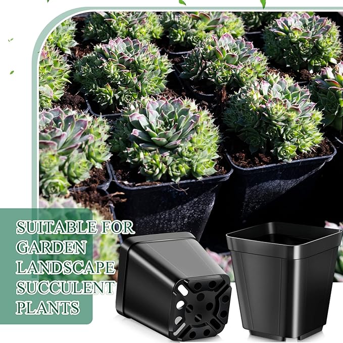 Roshtia 500 Pcs 4" Square Black Plastic Nursery Pots with Drainage Holes, Indoor/Outdoor Plant Starter Pots for Succulents, Flowers, Garden Supplies