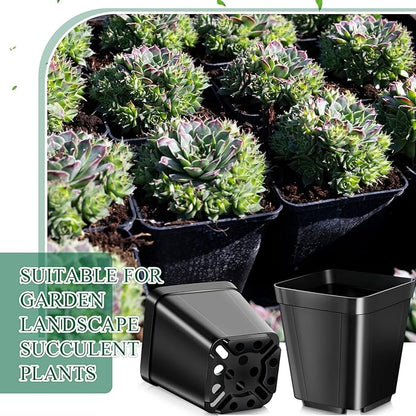 Roshtia 500 Pcs 4" Square Black Plastic Nursery Pots with Drainage Holes, Indoor/Outdoor Plant Starter Pots for Succulents, Flowers, Garden Supplies