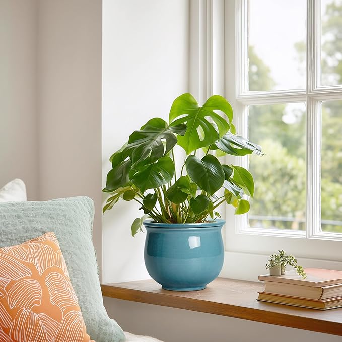 African Violet Pots 6 Inch, Ceramic Self Watering Pot with Absorbent Inner Planter, African Plant Pots for Indoor Plants, Round Flower Pot, Bedroom Decor, Gifts for Plant Lover, Glaze Blue