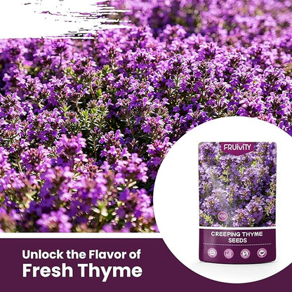 20000+pcs Purple Creeping Thyme Seed for Planting, Non-GMO Heirloom Perennial Ground Cover Flowers Seeds, Lawn Alternative, Fragrant Herb Seeds for Lawns & Paths Garden Backyard