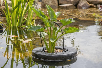 PondH2o Floating Aquatic Water Garden Pond Planter Woven Fabric Basket, 14 Inch Square, Floatable Aquatic Water Garden Pond Plant or Flower Islands for Ponds and Water Features
