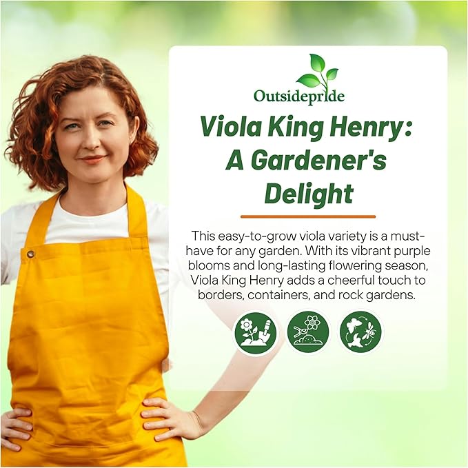 Outsidepride King Henry Viola Pansy Seeds for Planting - 1000 Pcs. Perennial, Cold-Hardy & Pollinator Friendly Flowers with Fragrant Blooms for Garden Beds, Borders & Container Displays