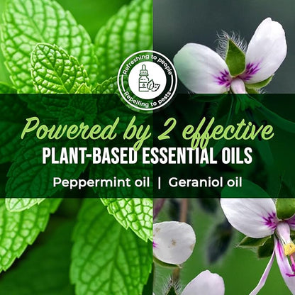 Mighty Mint Peppermint Oil Ant Killer Spray – Natural Ant Repellent for Indoor & Outdoor Use – Plant-Based Insect & Pest Control – 16 oz (Pack of 2)