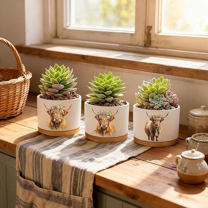 Highland Cow Planters for Indoor Plants – 1350°C Kiln-Fired Fine Ceramic Succulent Planter Set of 3, Cute Animal Pots for Room, Bathroom, Yoga, Meditation Decor (No Plant Included)