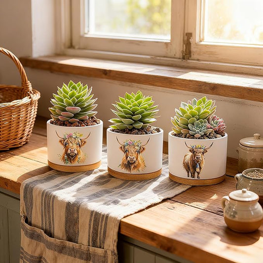 Highland Cow Planters for Indoor Plants – 1350°C Kiln-Fired Fine Ceramic Succulent Planter Set of 3, Cute Animal Pots for Room, Bathroom, Yoga, Meditation Decor (No Plant Included)