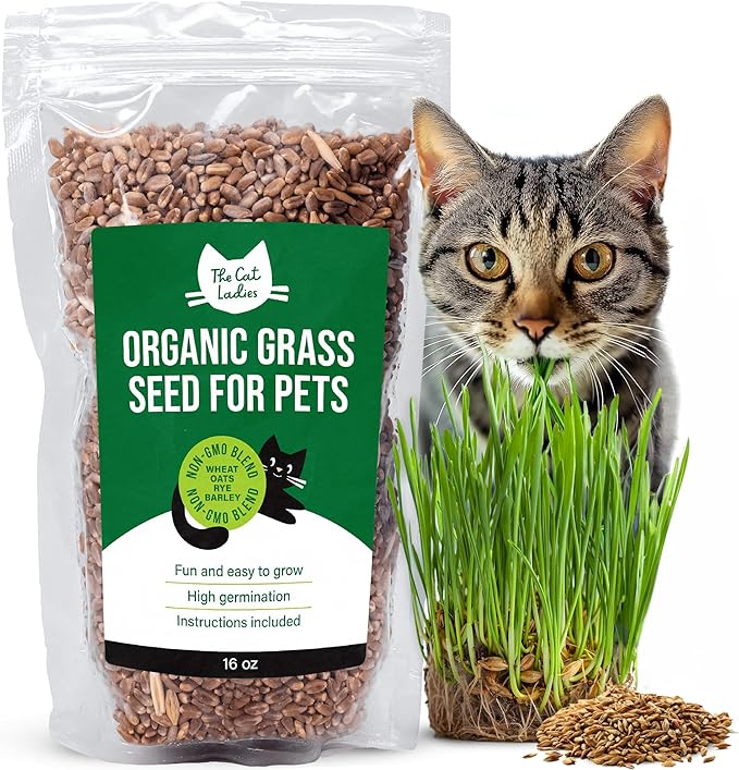 The Cat Ladies 100% Organic Cat Grass Seeds - Cat Grass for Indoor Cats - (Non GMO) 16 oz