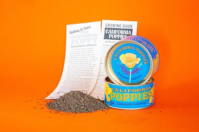 California Poppy | Flower Seed Grow Kit | The Jonsteen Company