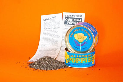 California Poppy | Flower Seed Grow Kit | The Jonsteen Company