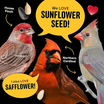 Cardinal & Crew Wild Bird Seed – 10 lb. Black Oil Sunflower, Sunflower Hearts & Safflower Blend for Cardinals, Grosbeaks & Chickadees – Bird Food for Outside Feeders