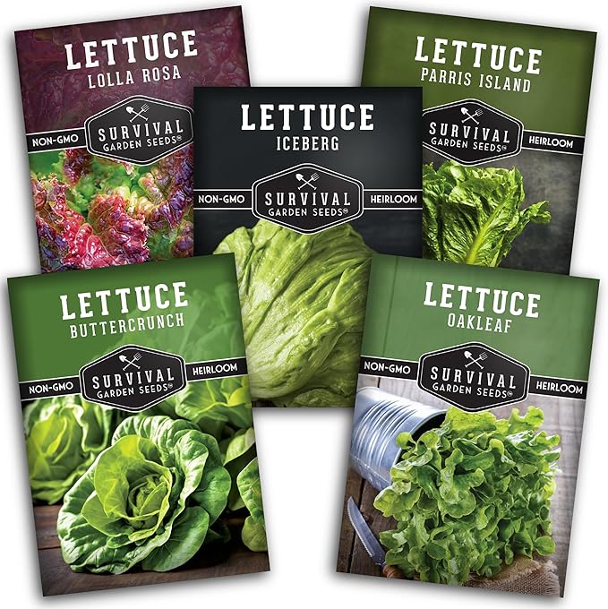 Lettuce Seeds 5-Variety Collection – Heirloom Romaine (Parris Island), Buttercrunch, Iceberg, Oakleaf, Lolla Rosa Lettuces for Planting – Non-GMO, Open-Pollinated – Survival Garden Seeds