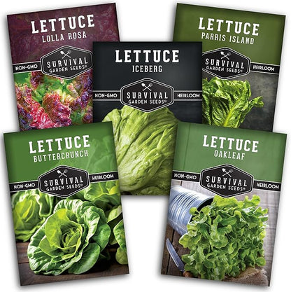 Lettuce Seeds 5-Variety Collection – Heirloom Romaine (Parris Island), Buttercrunch, Iceberg, Oakleaf, Lolla Rosa Lettuces for Planting – Non-GMO, Open-Pollinated – Survival Garden Seeds