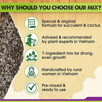 DUSPRO Succulents Soil Potting Mix – 7 in 1 Ingredients Well-Draining, Nutrient-Rich Cactus Potting Soil for Succulents and Cacti, Indoor & Outdoor Use, Ready to Use, Supports Healthy Root Growth, 1QT