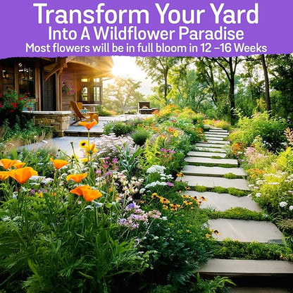 NatureZ Edge Wildflower Seeds, 1/2 lb, 340,000 Seed, 35 Variety Perennial & Annual Flower Seeds to Plant Outside, Bulk Wildflower Seed, Wild Flower, Semillas de Flores
