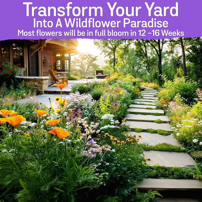 NatureZ Edge Wildflower Seeds Mix – 1/4 lb, 170,000 Seeds, 35 Variety Perennial & Annual Flower Seeds to Plant Outside, Bulk Wildflower Seeds, Wild Flower, Semillas de Flores
