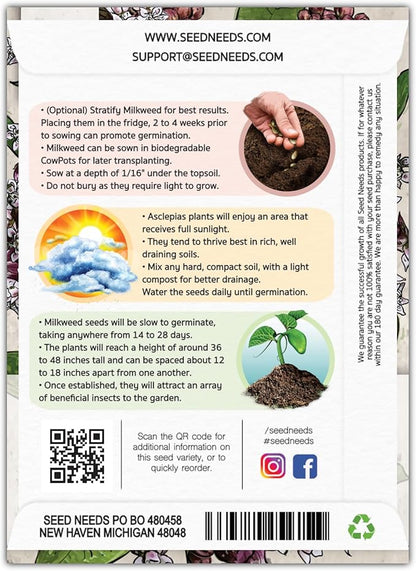 Seed Needs, Pink Common Milkweed Seeds - 100 Heirloom Seeds for Planting Asclepias syriaca - Perennial Flowers to Attract Monarch Butterflies & Other Pollinators (2 Packs)