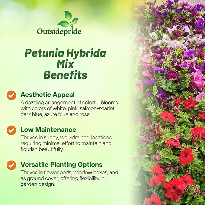 Outsidepride Hybrida Mix Petunia Seeds - 5000 Pcs. Annual, Compact & Versatile Flower Seeds for Planting Low Growing Vibrant Blooms, Ideal for Garden Beds, Hanging Baskets & Container Displays
