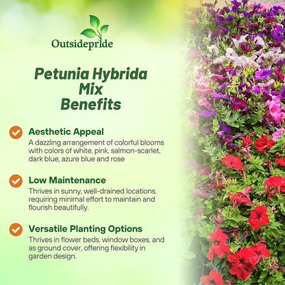 Outsidepride Hybrida Mix Petunia Seeds - 5000 Pcs. Annual, Compact & Versatile Flower Seeds for Planting Low Growing Vibrant Blooms, Ideal for Garden Beds, Hanging Baskets & Container Displays