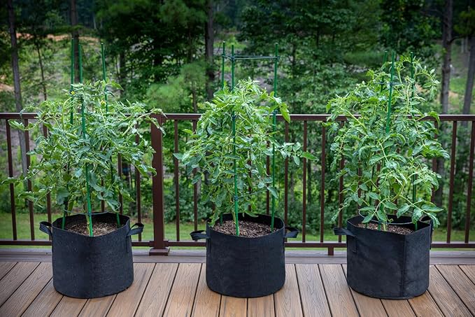 Gardzen 5 Gallon Grow Bags 6-Pack, 500G Thick Nonwoven Fabric Pots with Waterproof Liner & Breathable Bottom, for Hot Dry Climates