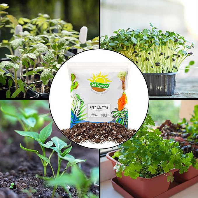 Soil Sunrise All Natural Seed Starting Mix (8 Quarts) Expert Grade Seed Starter Potting Mix, Start Herbs, Vegetables, and Other Grass