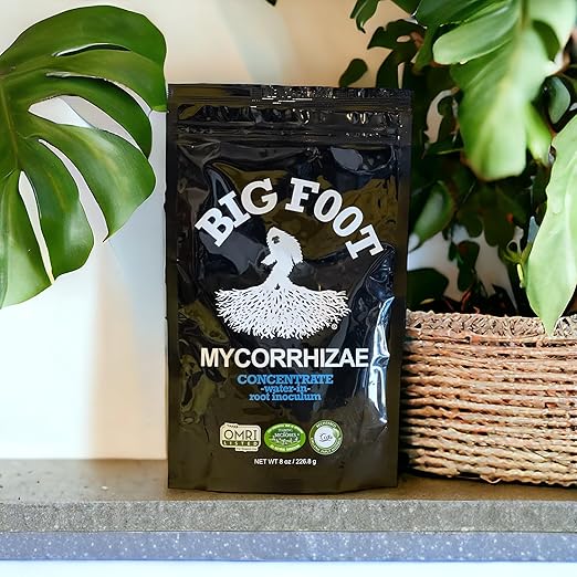 Big Foot Mycorrhizae for Plants, Potted Plants and Gardens - Concentrate Fully Dissolves in Water, Year Round Organic Fertilizer for Root Growth and Healthy Soil - 4 Ounces