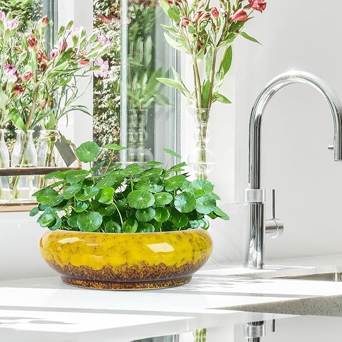 Lotus Bowl Planter - 7.3 Inch Large Lotus Flower Bowl for Water Plants, Ceramic Hydroponic Planter Water Lily Bowl for Planting Aquatic and Indoor Succulent Plants and Bonsai